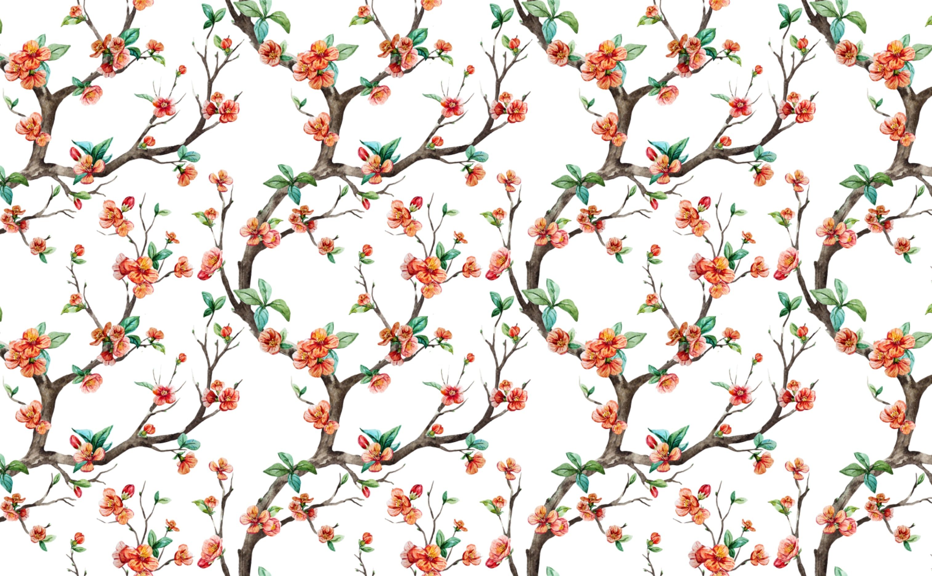 3028x1872 Cheery Cherry Blossom Wallpaper for Walls