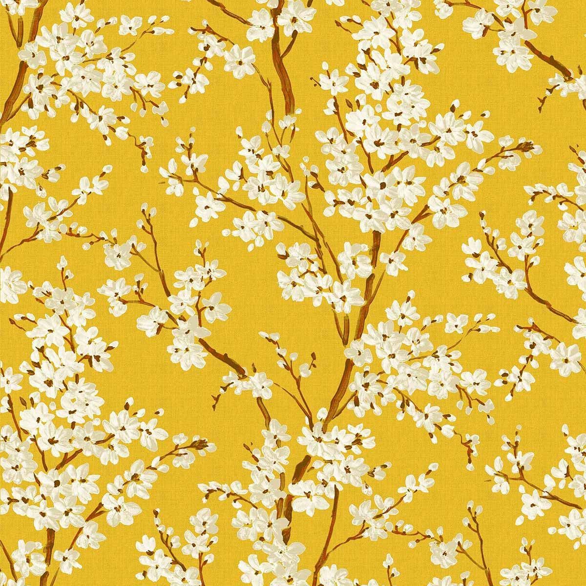 1200x1200 Cherry Blossom Wallpaperé