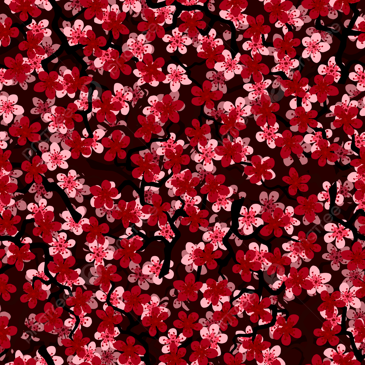 1200x1200 Japanese Cherry Blossom Pattern For Various Uses On Black Background Photo, Wallpaper, Wrapping Paper, Print Background Image And Wallpaper for Free Download