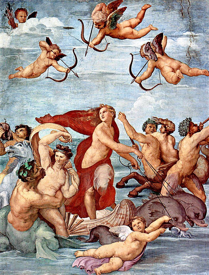 800x1051 Raffaello Sanzio Image Wallpaper