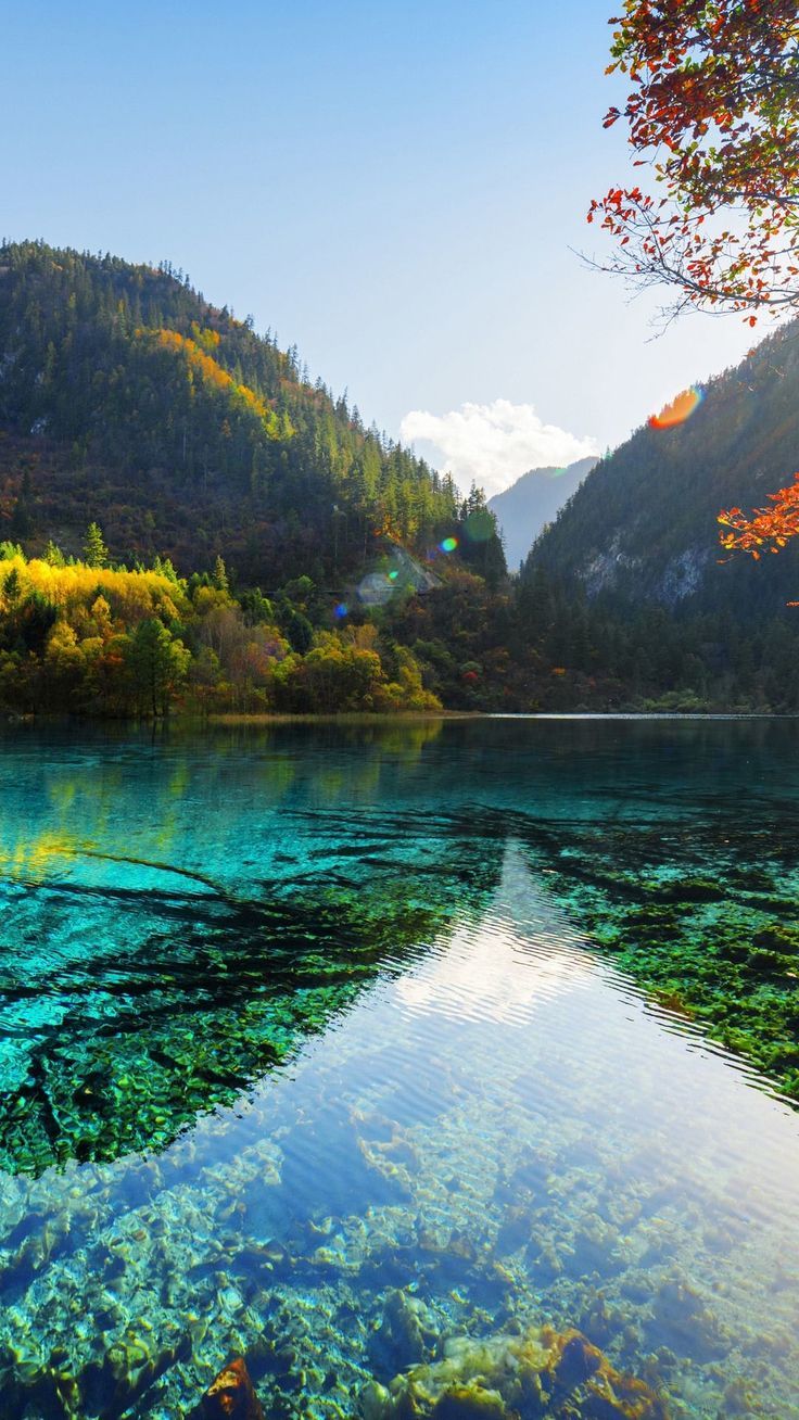 736x1308 Nature 2k Wallpaper Android Download