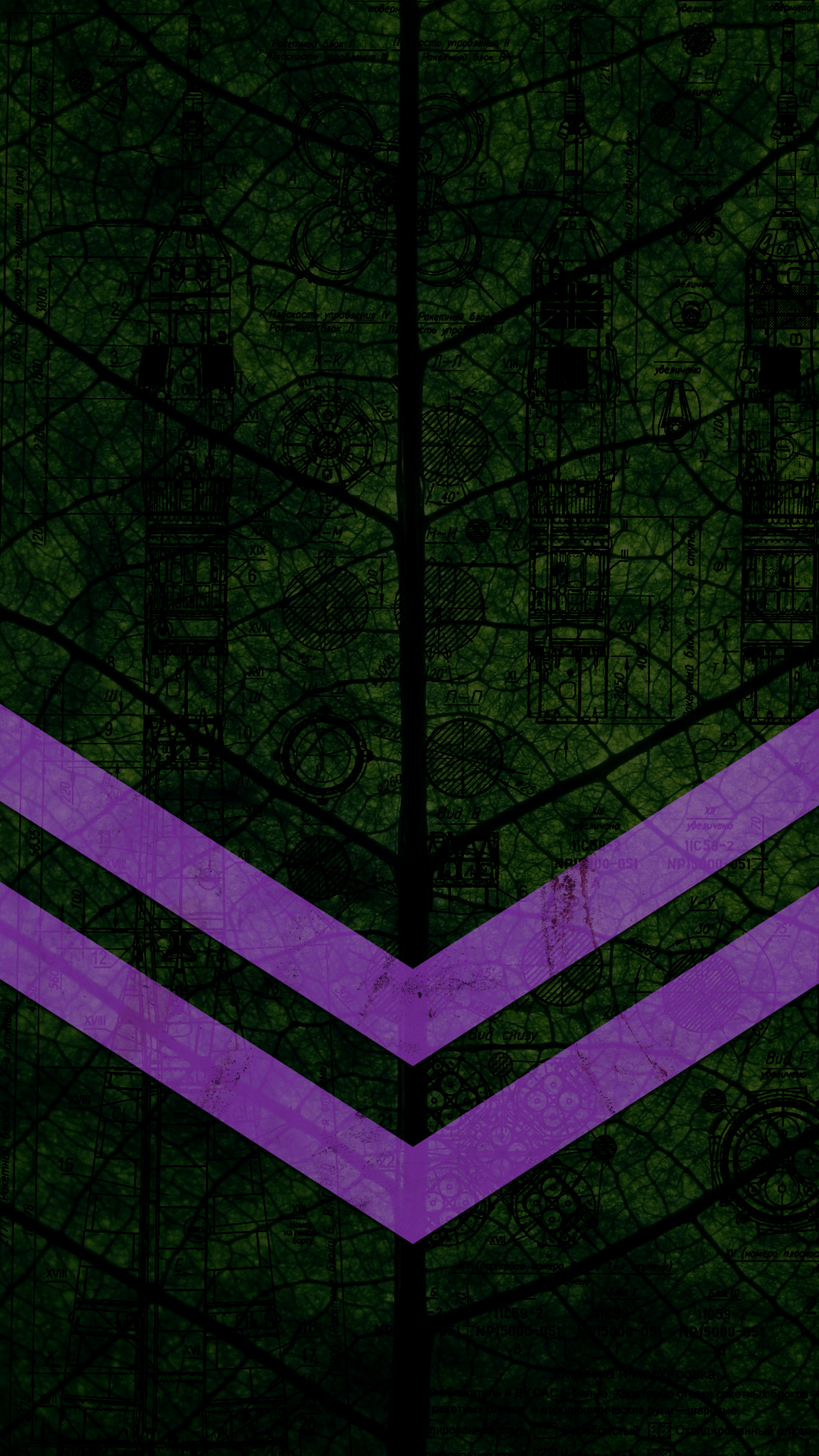 1440x2560 2k Phone Wallpaper