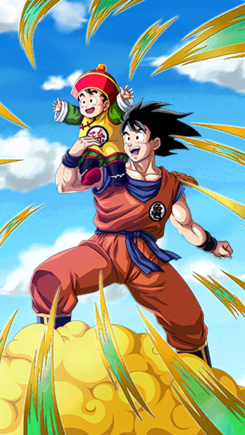 800x1422 Dragon Ball Super, dragon ball, fighting, gohan, goku, shenron, HD phone wallpaper