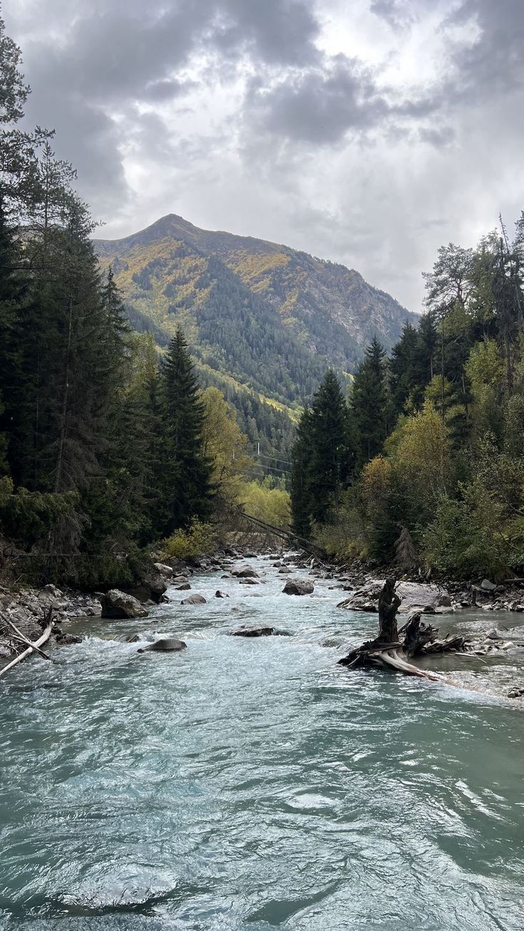 736x1308 Wallpaper river, trees, forest, mountains, clouds, sky, landscape, nature, AI 4K by user4101332. Download wallpaper river, trees, forest, mountains, clouds, sky, landscape, nature for free