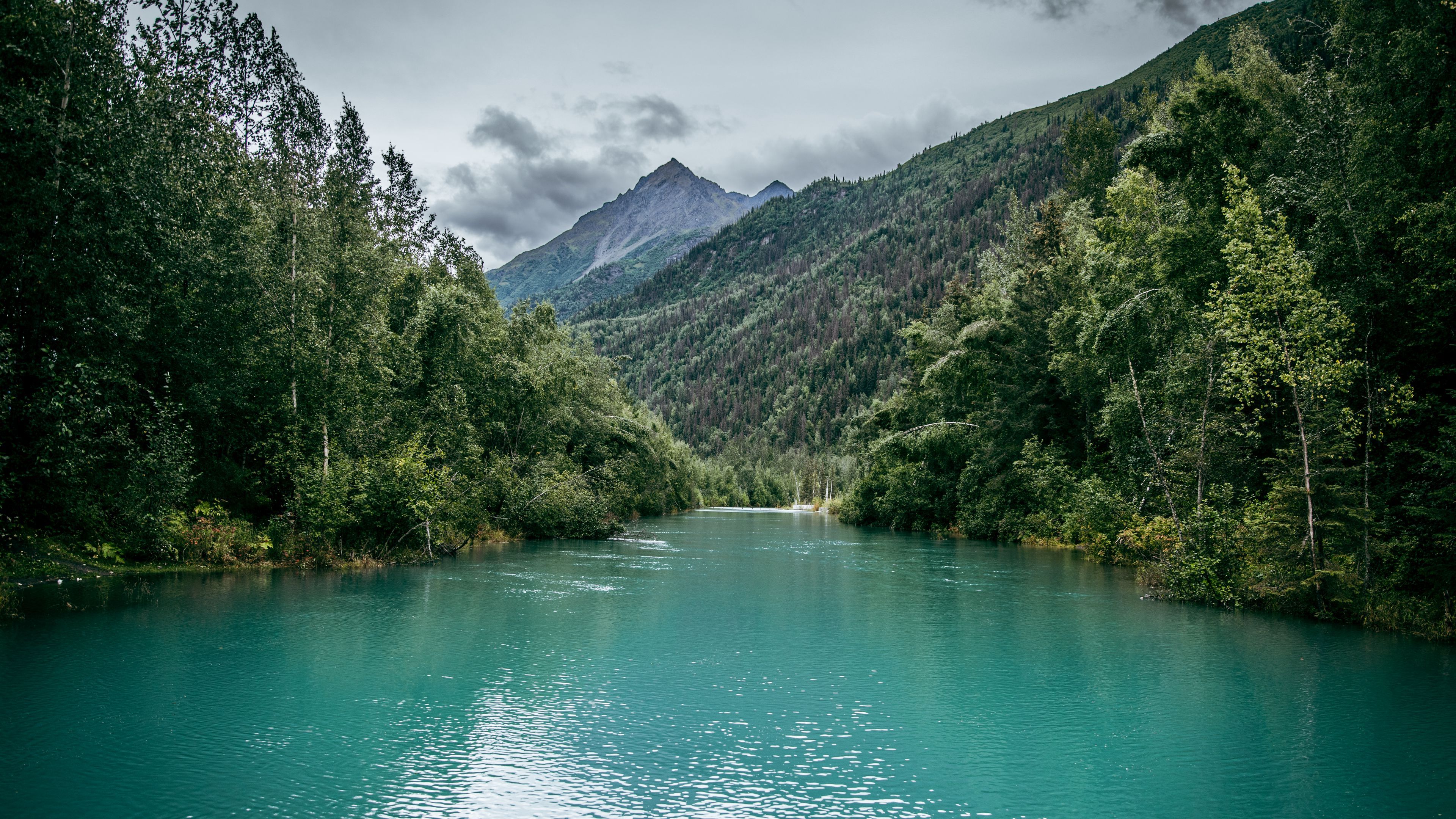 3840x2160 Download wallpaper 3840x2160 river, mountains, trees, jungle, nature 4k uhd 16:9 HD background