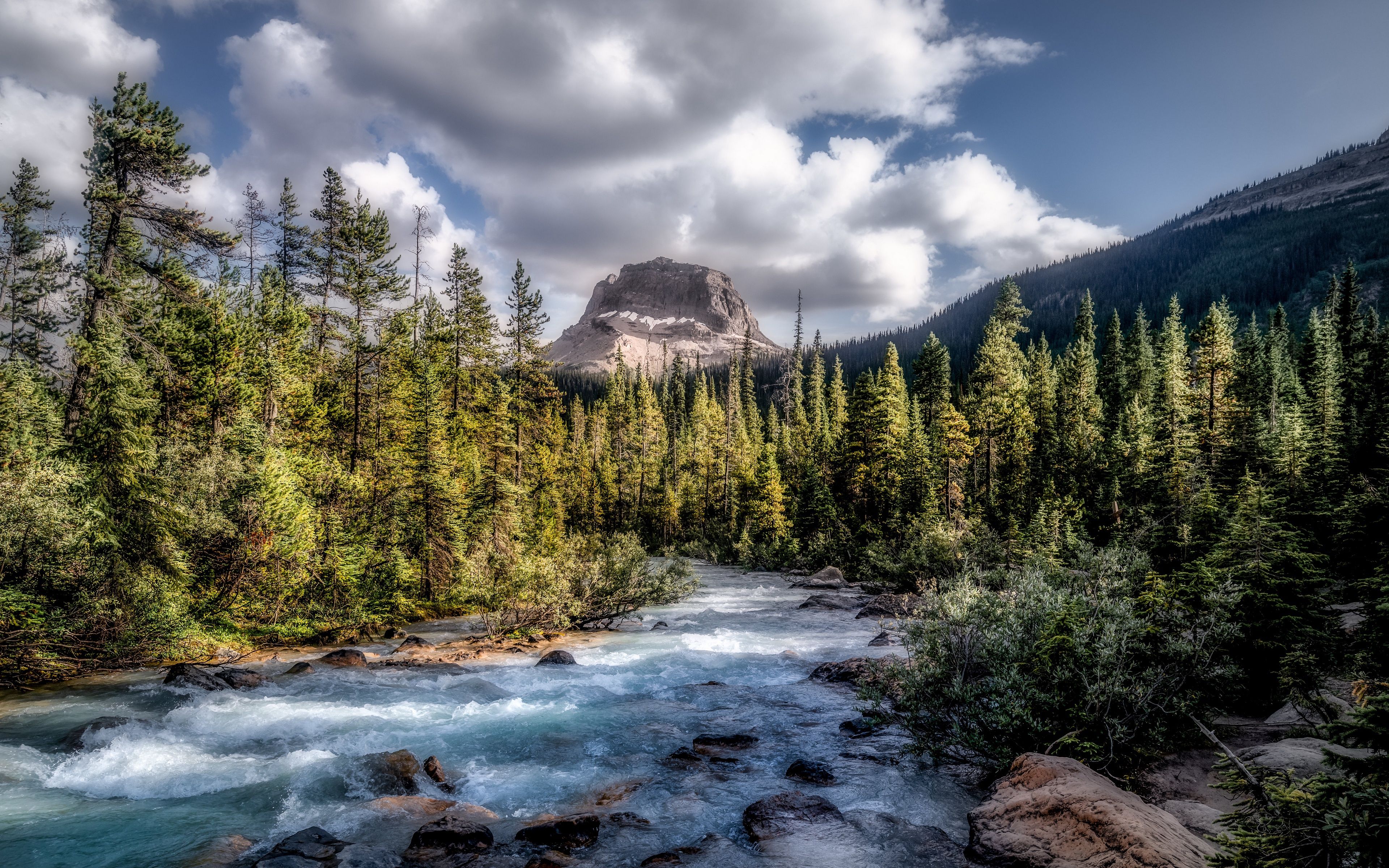 3840x2400 Wallpaper forest, Canada, river, sky, trees, nature, water, mountains for mobile and desktop, section пейзажи, resolution 3840x2400