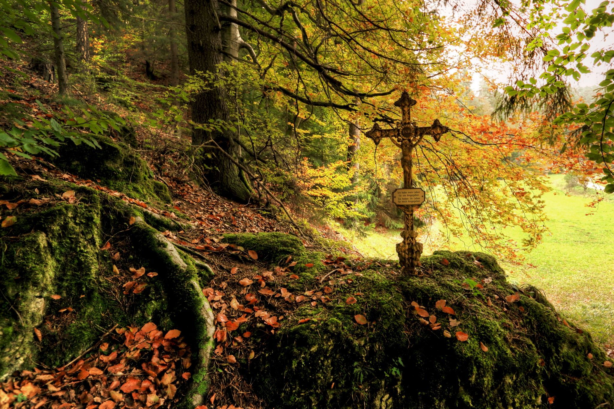 2048x1365 forests, Autumn, Foliage, Cross, Moss, Nature, Gothic Wallpaper HD / Desktop and Mobile Background