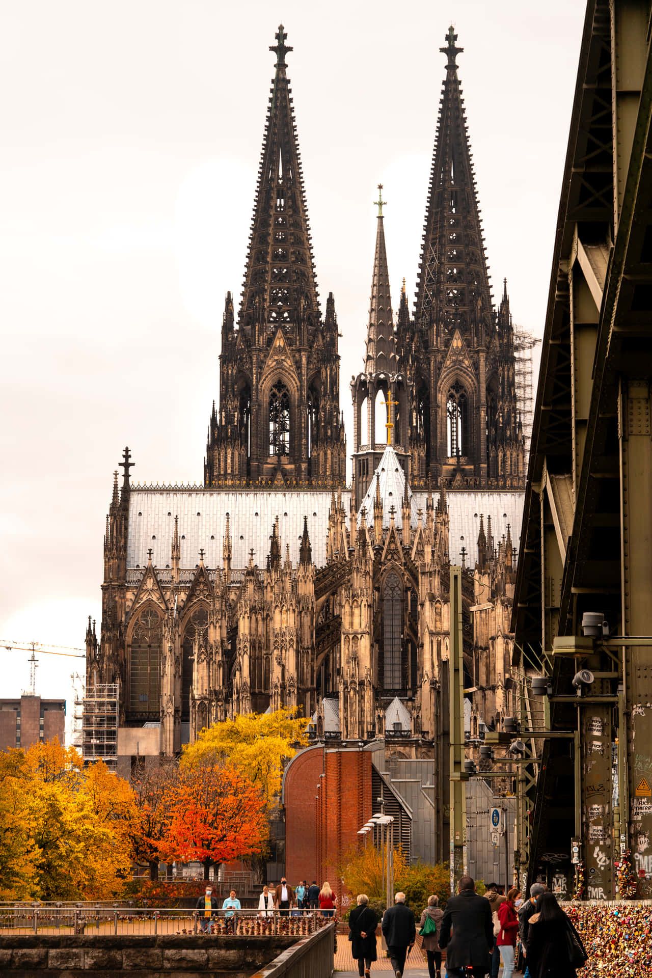1280x1920 Download Cologne Cathedral At Autumn Wallpaper