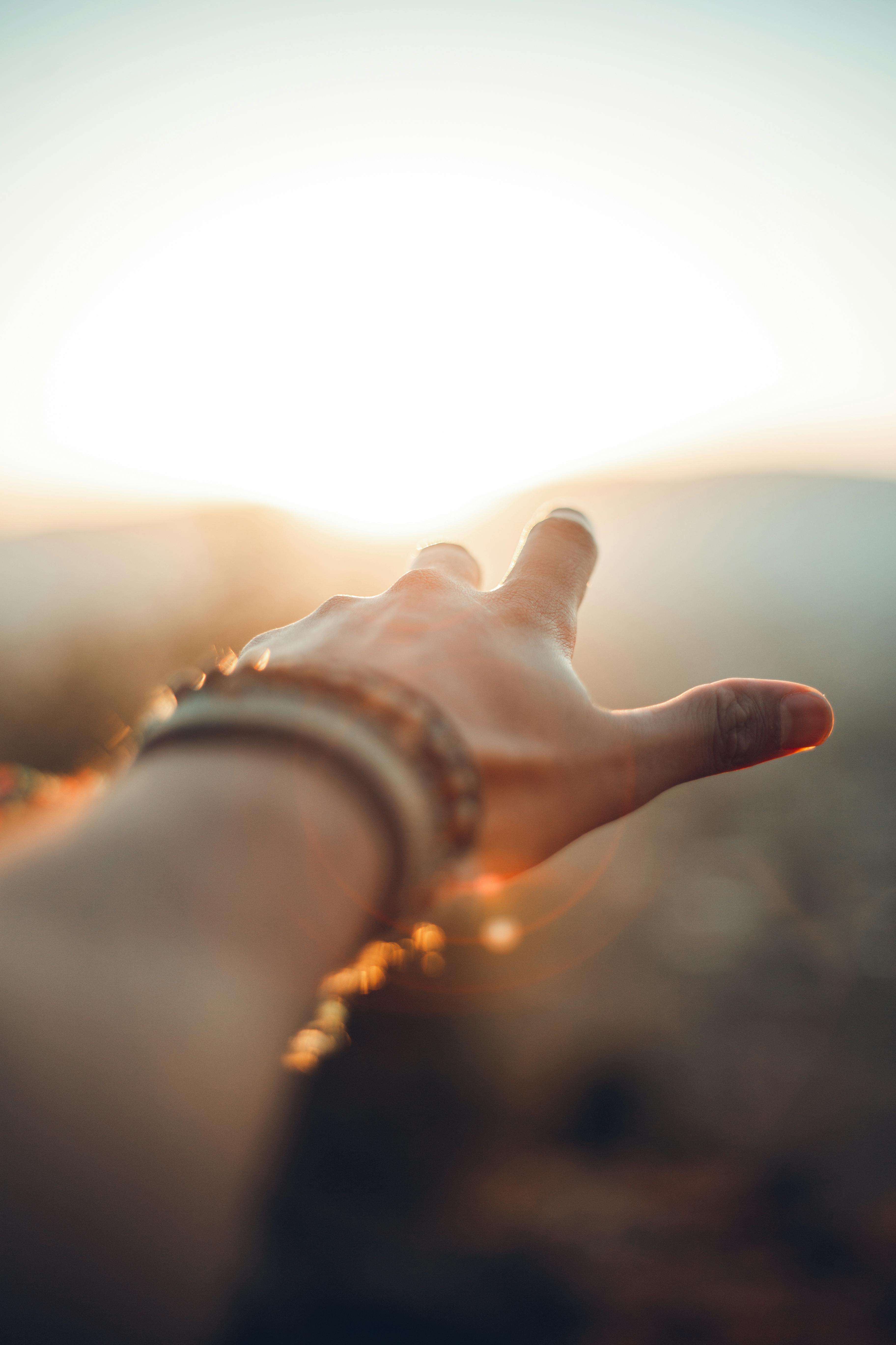 3648x5472 Close Up Photo Of A Person's Hand · Free