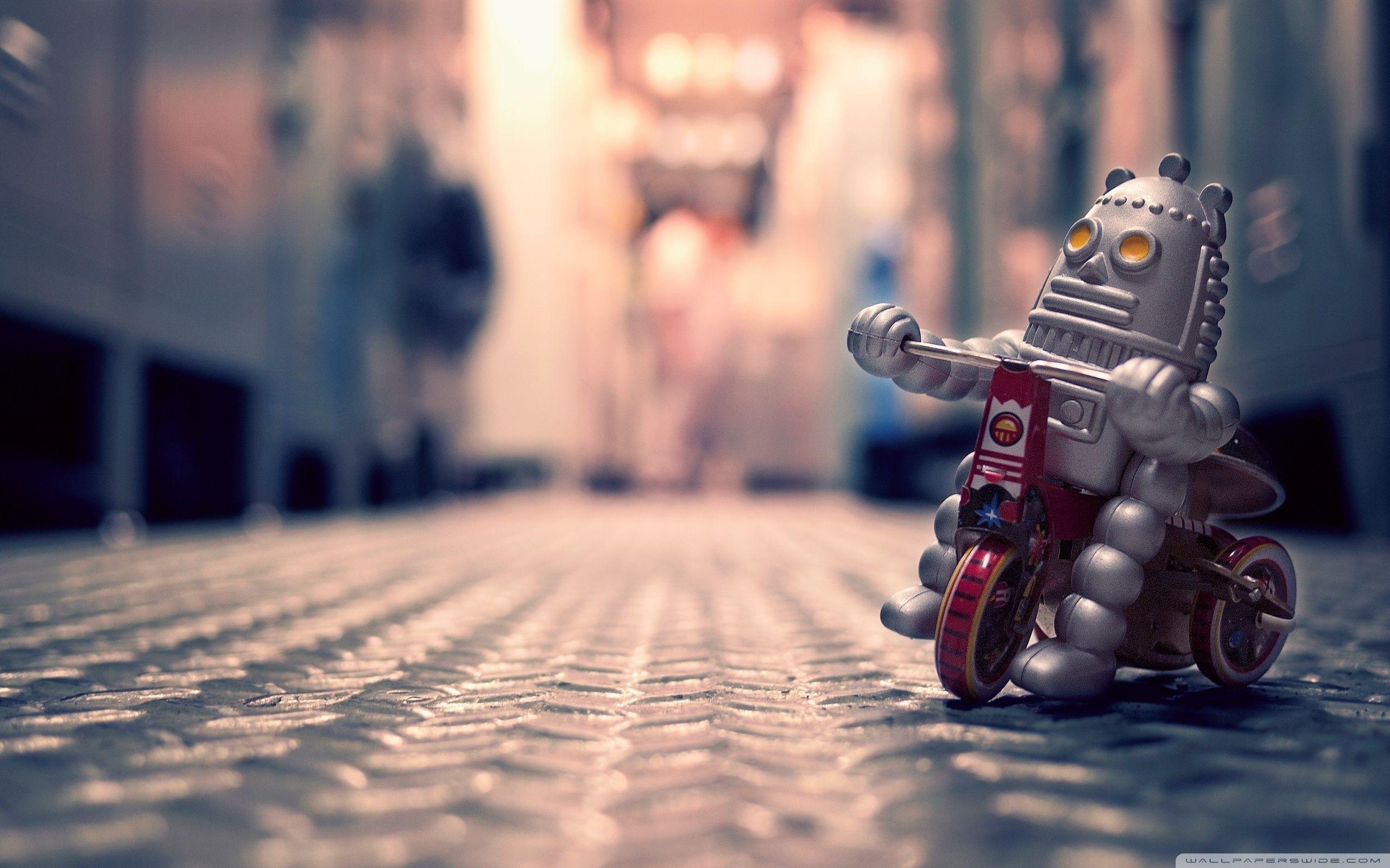 2560x1600 Toy Robot Ultra HD Desktop Background Wallpaper for 4K UHD TV : Tablet