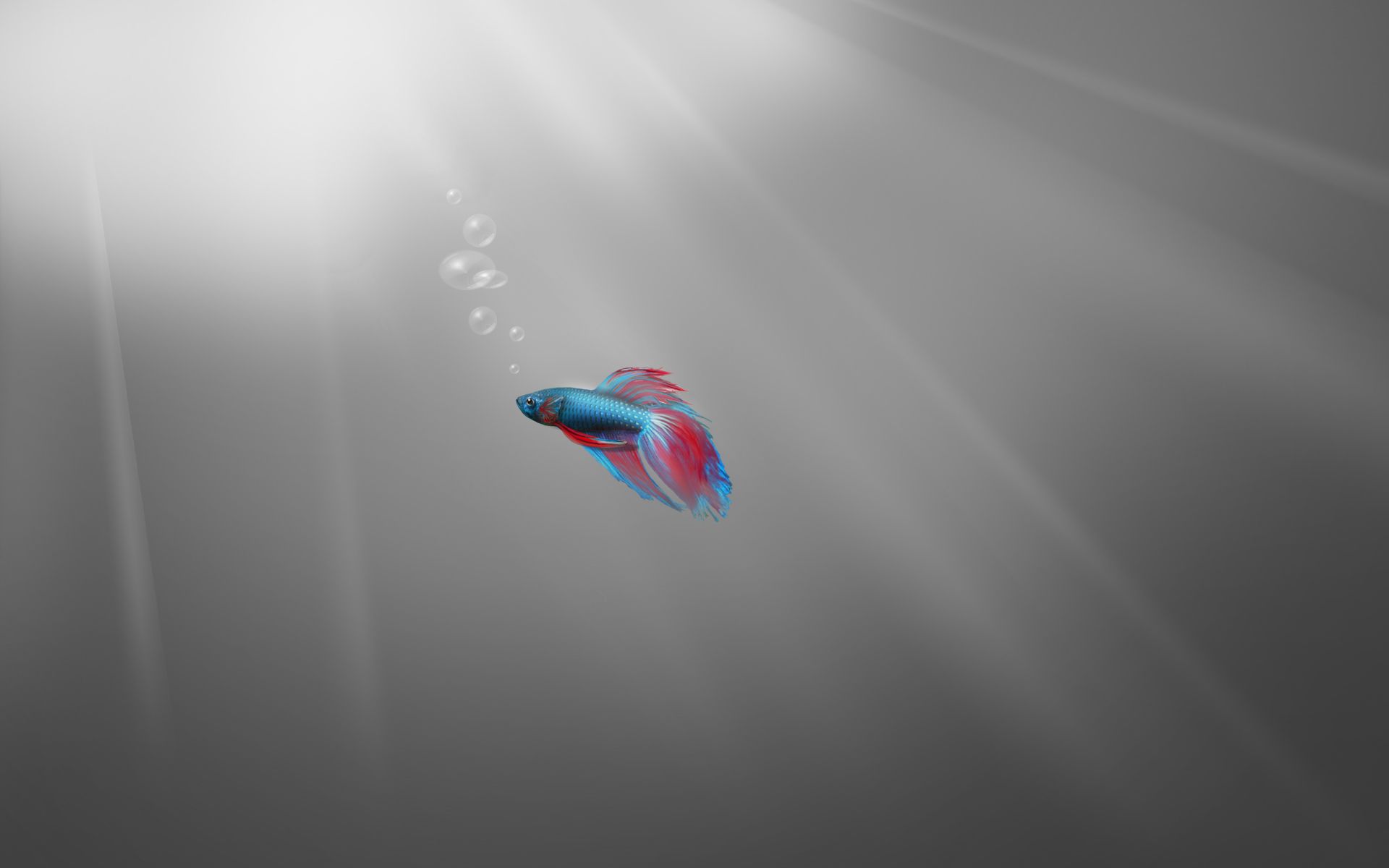 1920x1200 Microsoft Windows 7 Stock Fish Greyscale