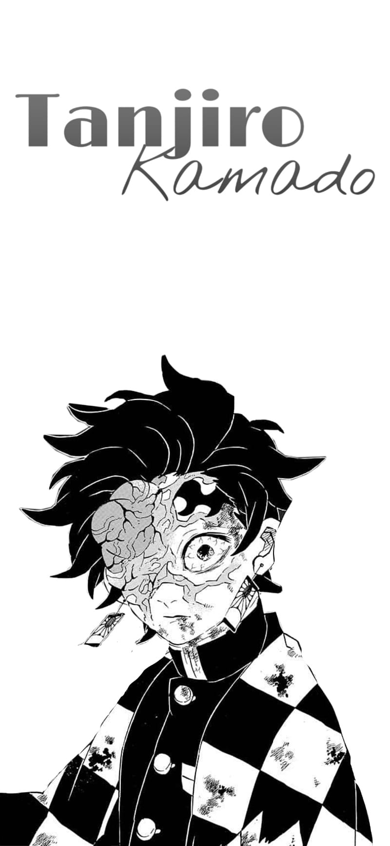 800x1732 Tanjiro kamado, anime, kimetsu no yaiba, netsuko kamado, tanjiro kamado, zenitsu agatsuma, HD phone wallpaper
