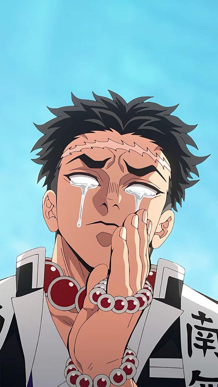 736x1308 Gyomei Himejima (WALLPAPER)