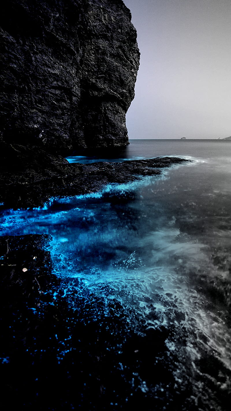 800x1422 Sparkling Sea, beach, blue, deep, sea, sparkling, HD phone wallpaper