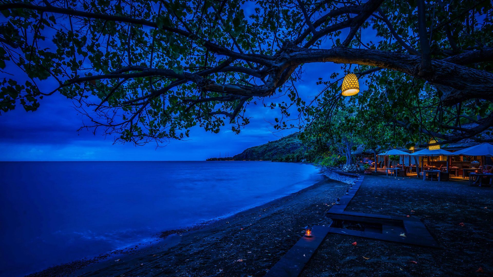 1920x1080 Cool Blue Ocean Mountain Tree Branches Nature Background HD Dark Blue Wallpaper