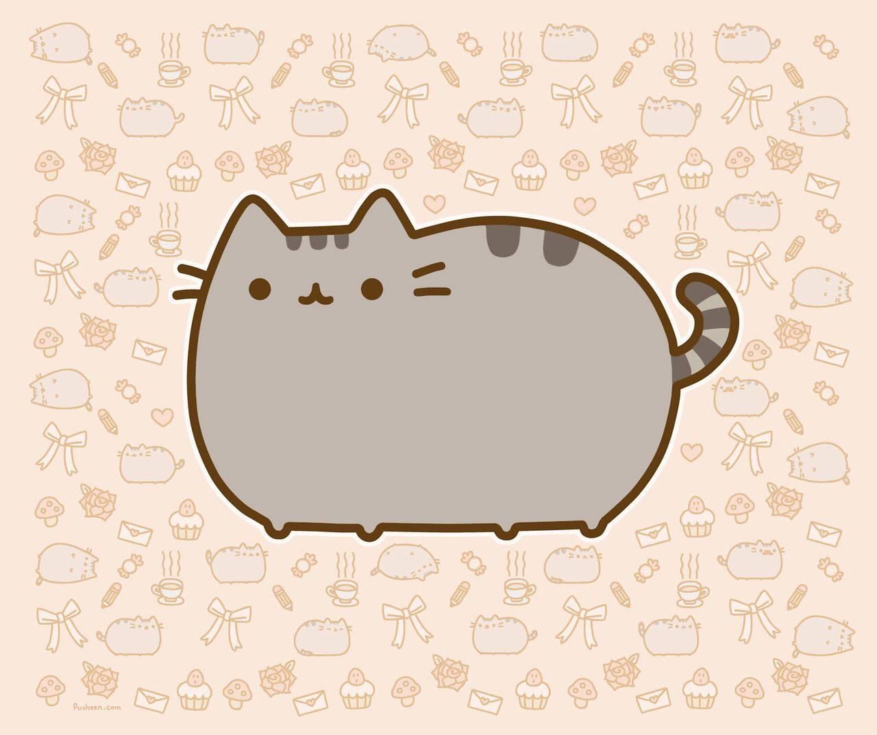 1280x1073 