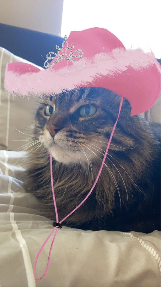 675x1200 Preppy Cowgirl Cat Penny