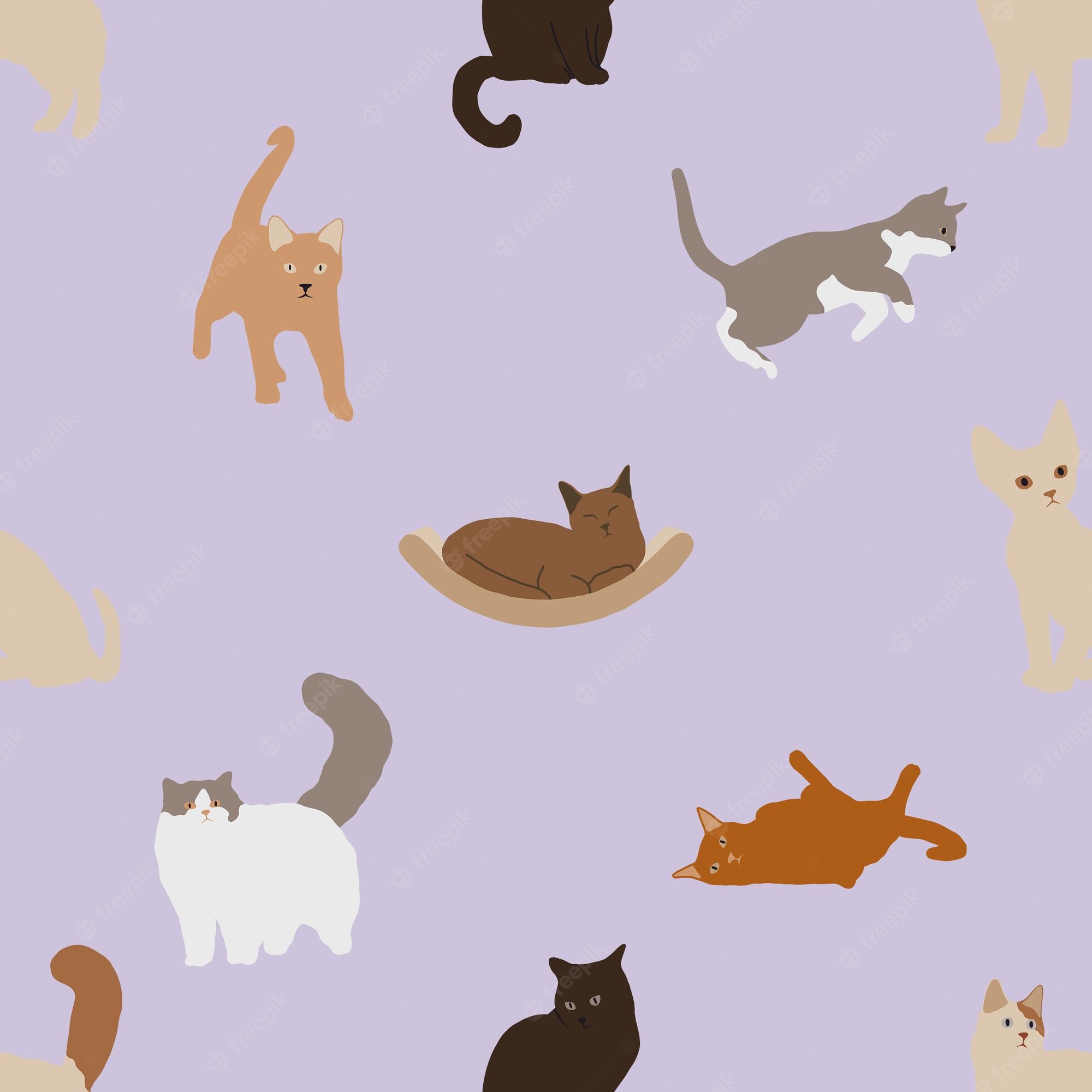2000x2000 Preppy Cats Wallpaper