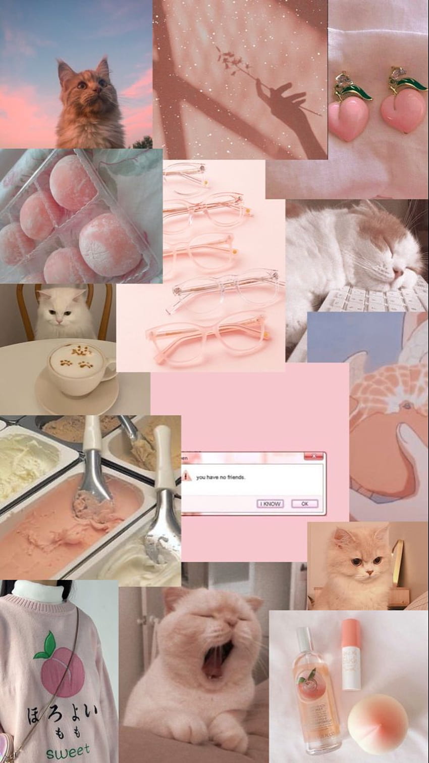 850x1509 Aesthetic Cat, Cat Collage HD phone wallpaper