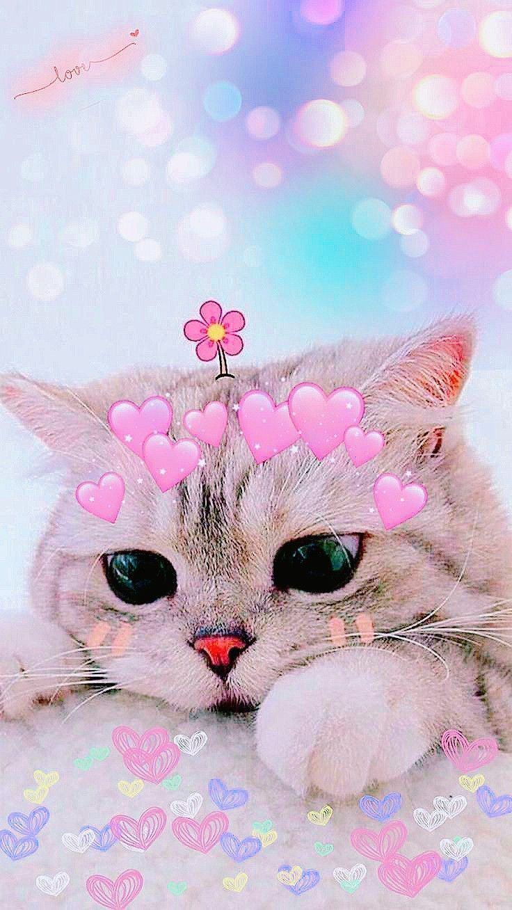 736x1308 Hello Kitty Wallpaper