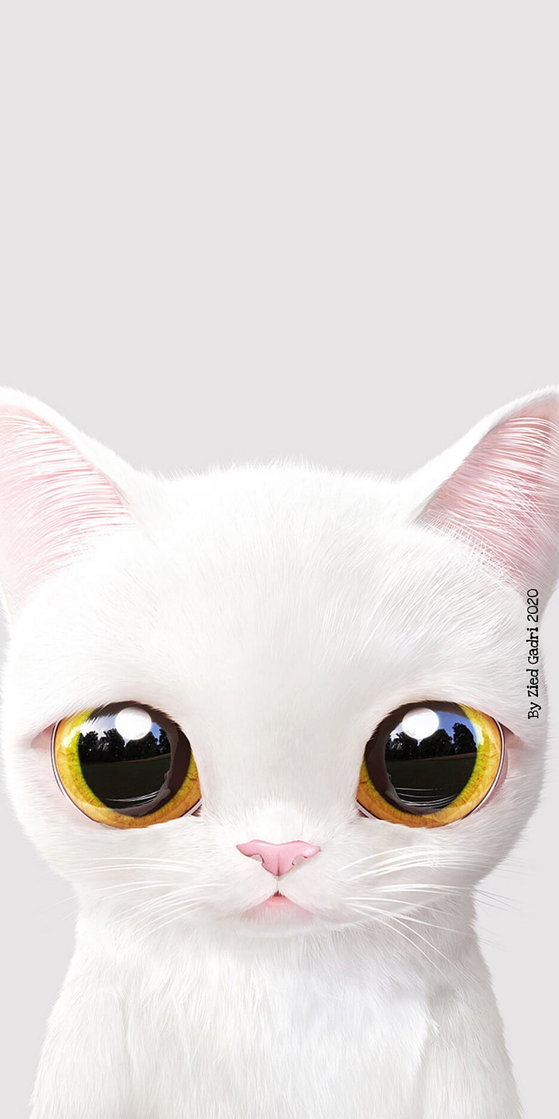800x1600 White cat, cats, cute, kitten, meow, HD phone wallpaper