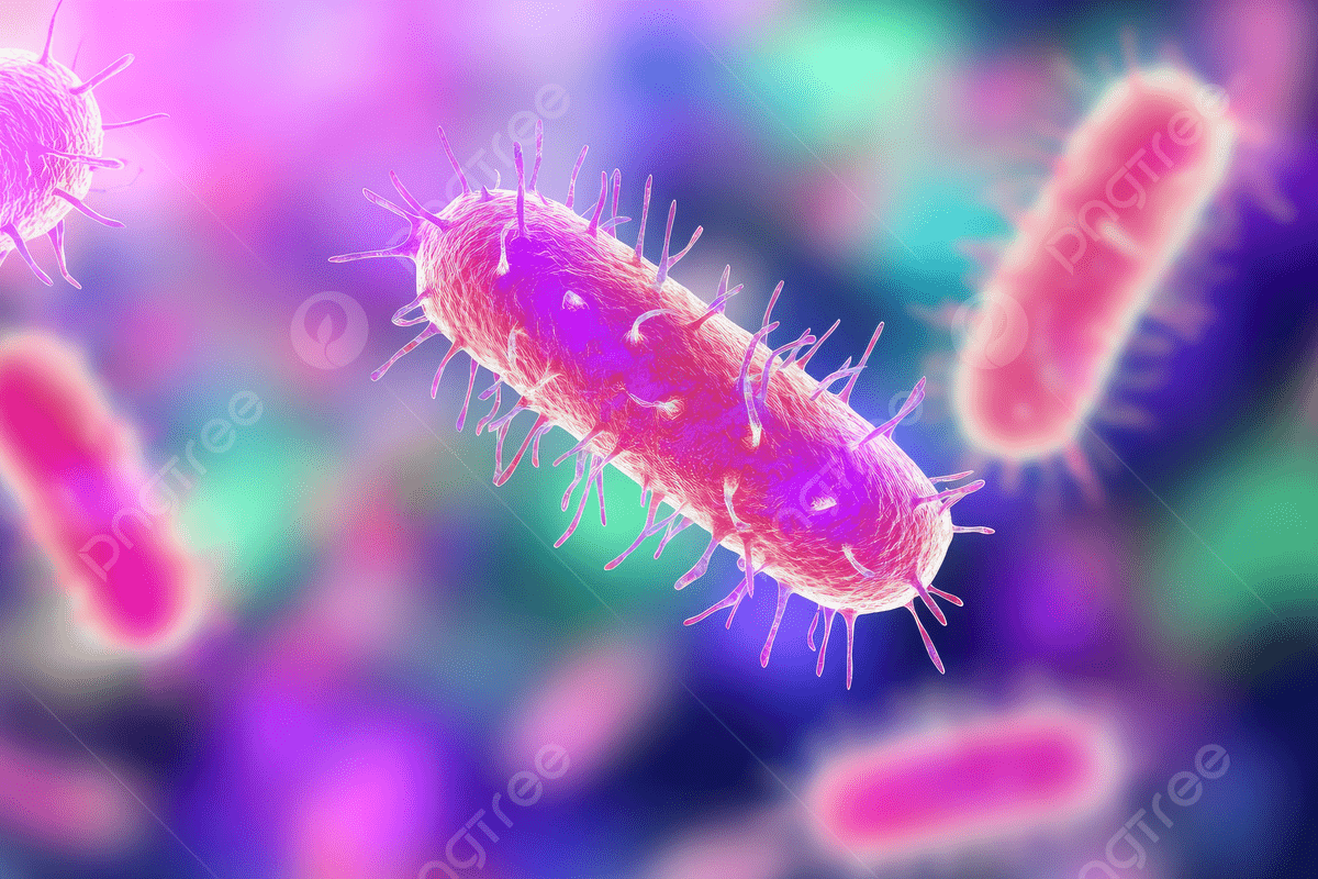Bacterium Wallpapers - Top Free Bacterium Backgrounds - WallpaperAccess