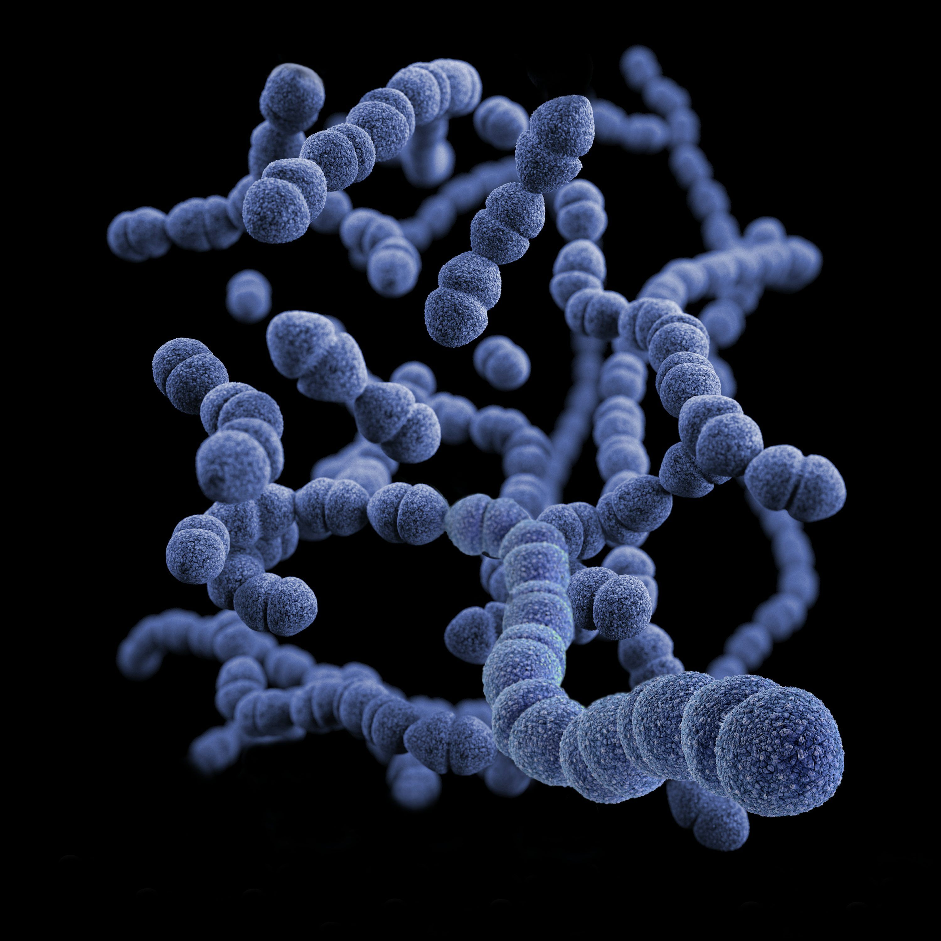 Bacterium Wallpapers - Top Free Bacterium Backgrounds - WallpaperAccess