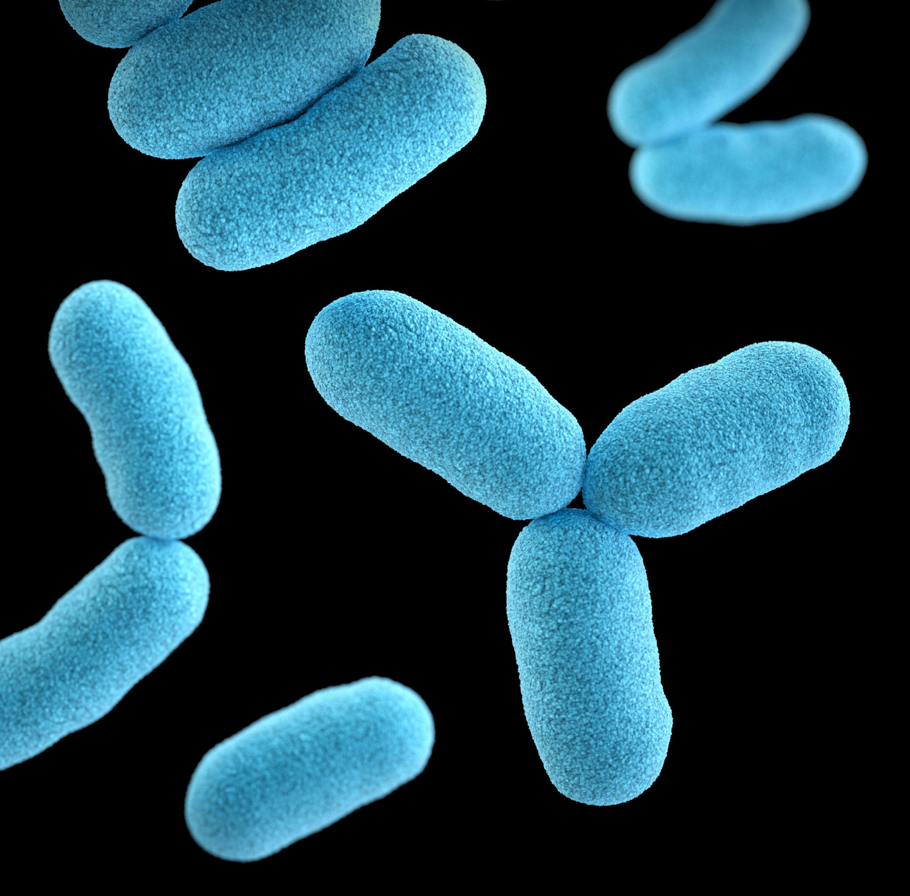 Bacterium Wallpapers - Top Free Bacterium Backgrounds - WallpaperAccess