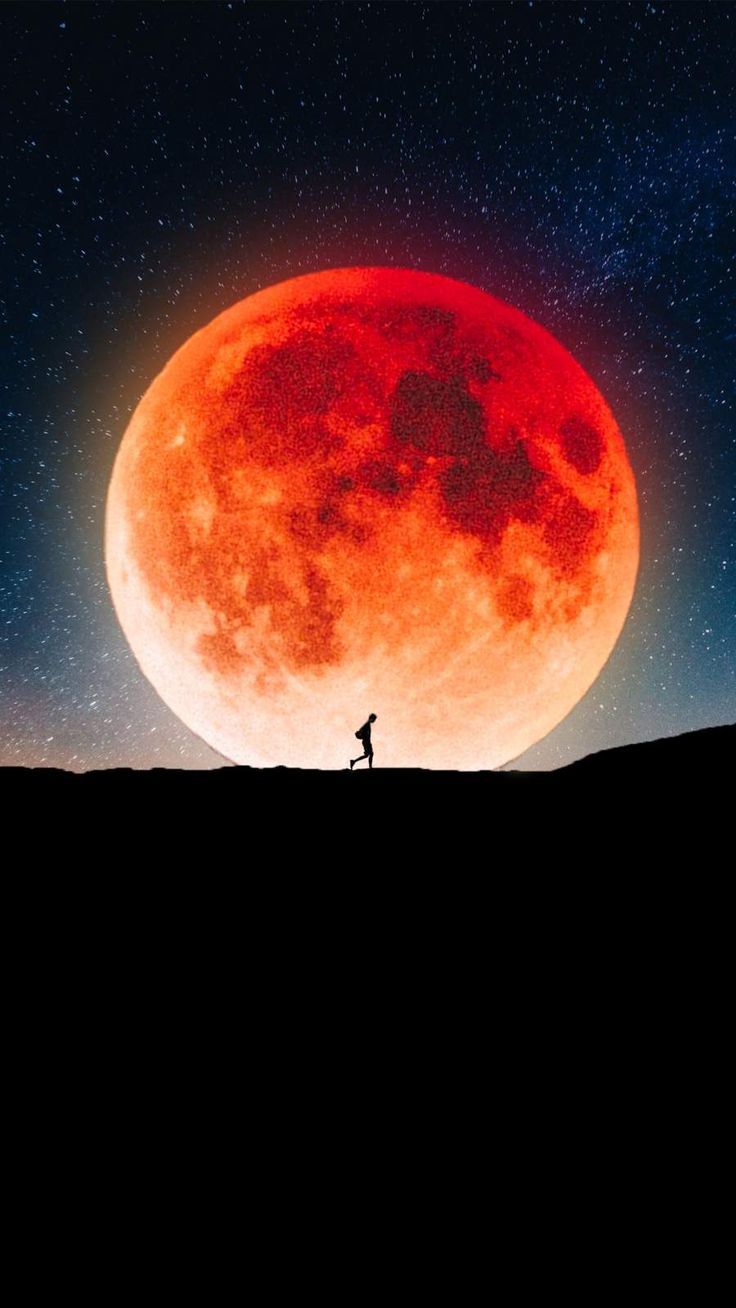 736x1308 Moon Walk iPhone Wallpaper