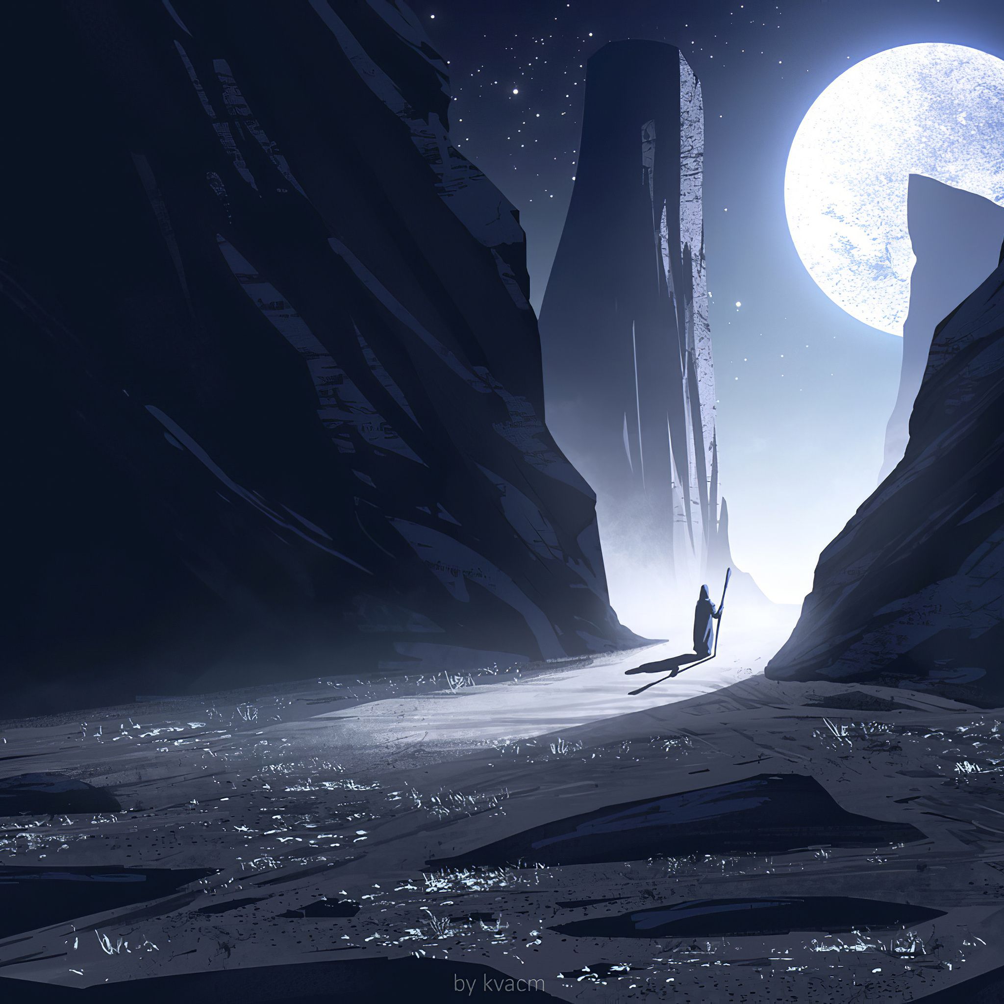 2048x2048 Moonlight Walk 4k iPad Air , HD 4k Wallpaper, Image, Background, Photos and Picture