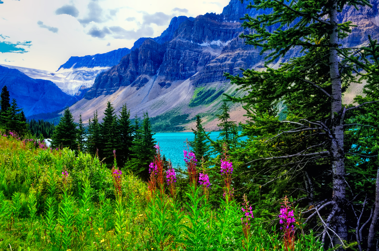 1440x954 Canadian Road Trips: Jasper and the Icefields Parkway