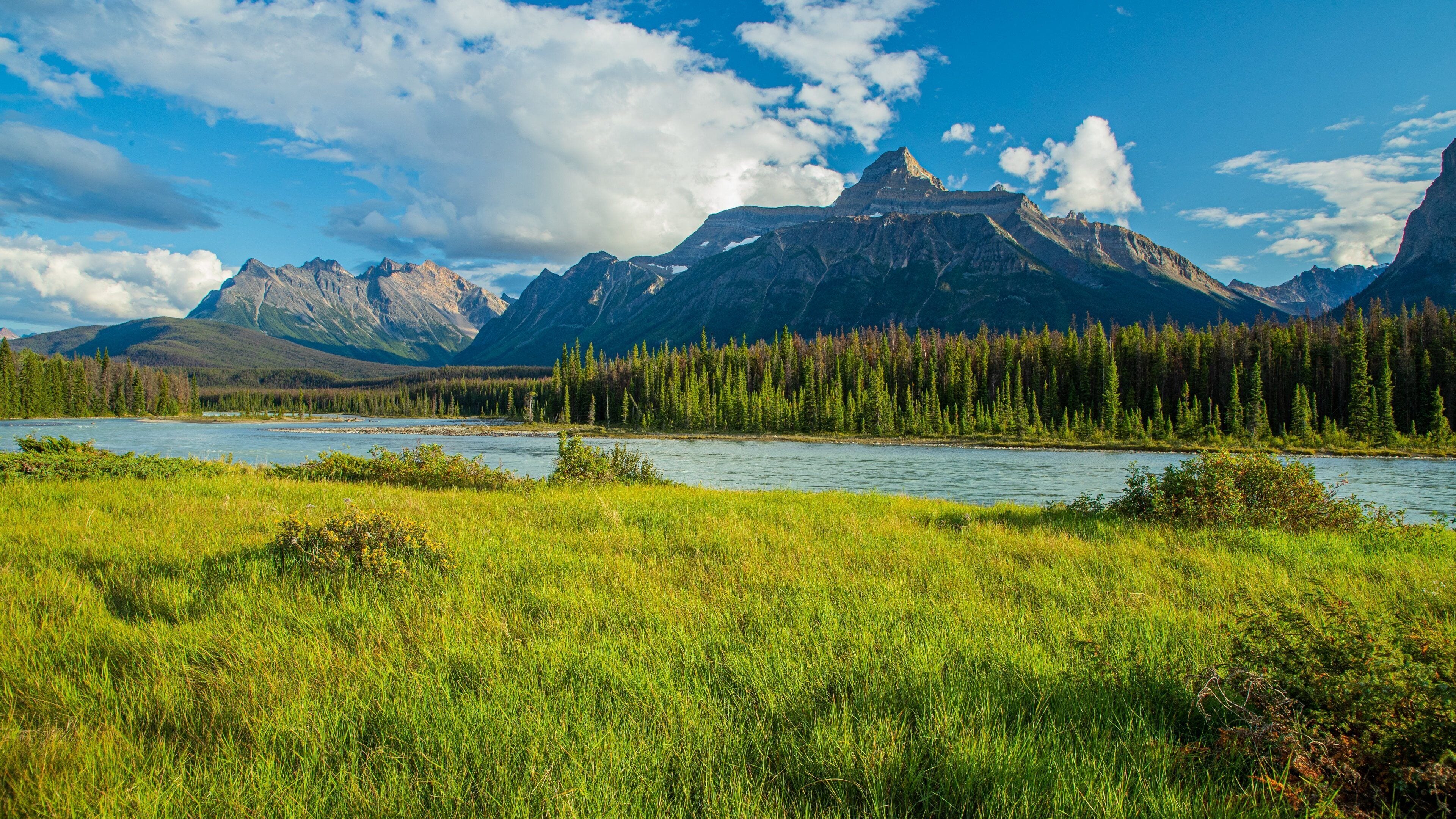 3840x2160 Icefields Parkway Tours