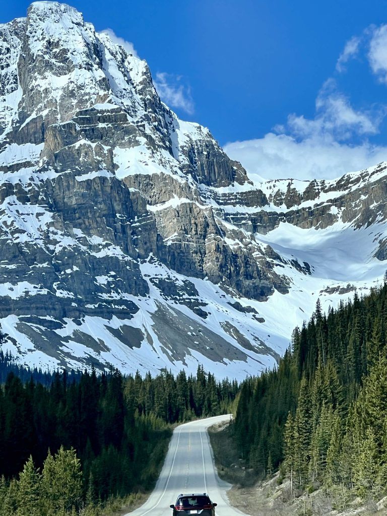 768x1024 The Amazing Icefields Parkway Fix It and The Pool Man