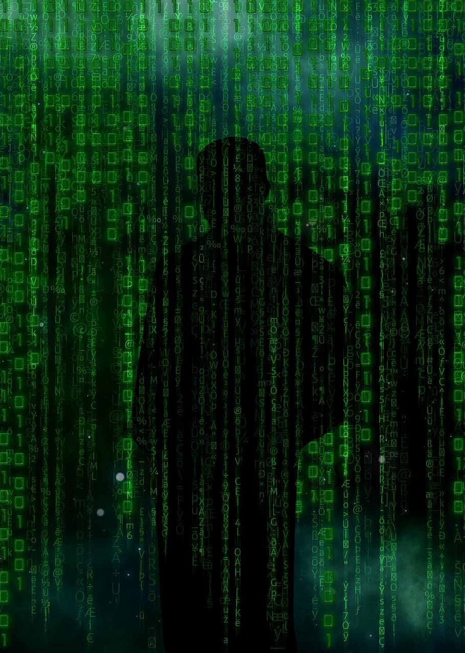 910x1278 green binary wallpaper, code, hacker, data, security, technology, digital, password