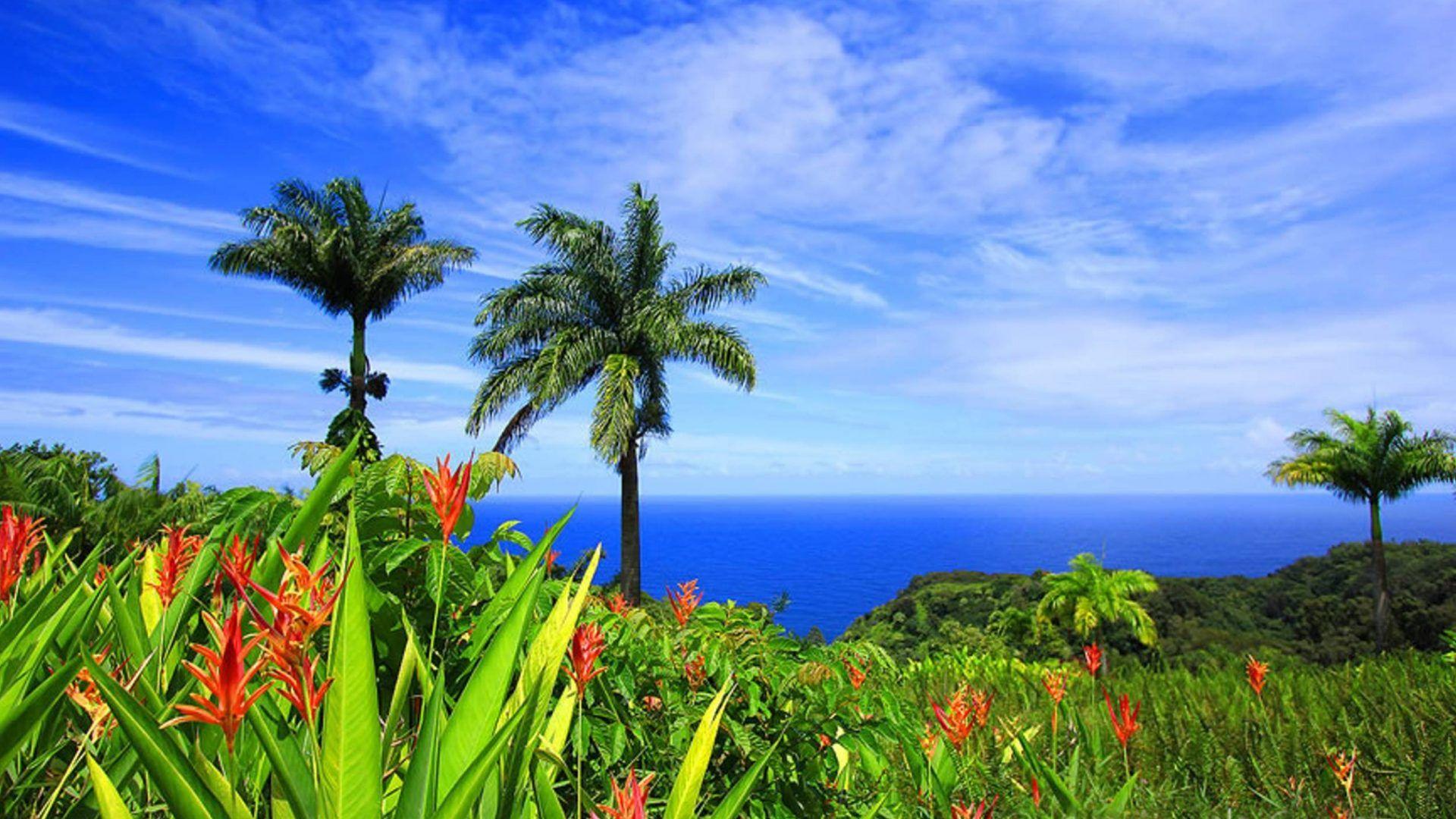 1920x1080 Hawaiian Tag wallpaper: Beautiful Ocean Hawaiian Nature Blue Sky