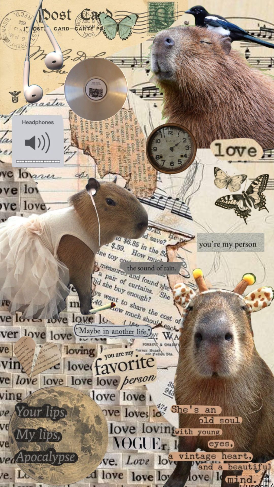 1080x1920 Capybara iPhone Wallpaper