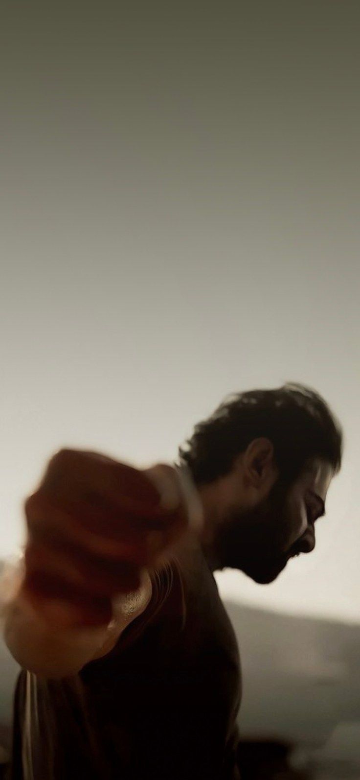 736x1593 Phone Wallpaper