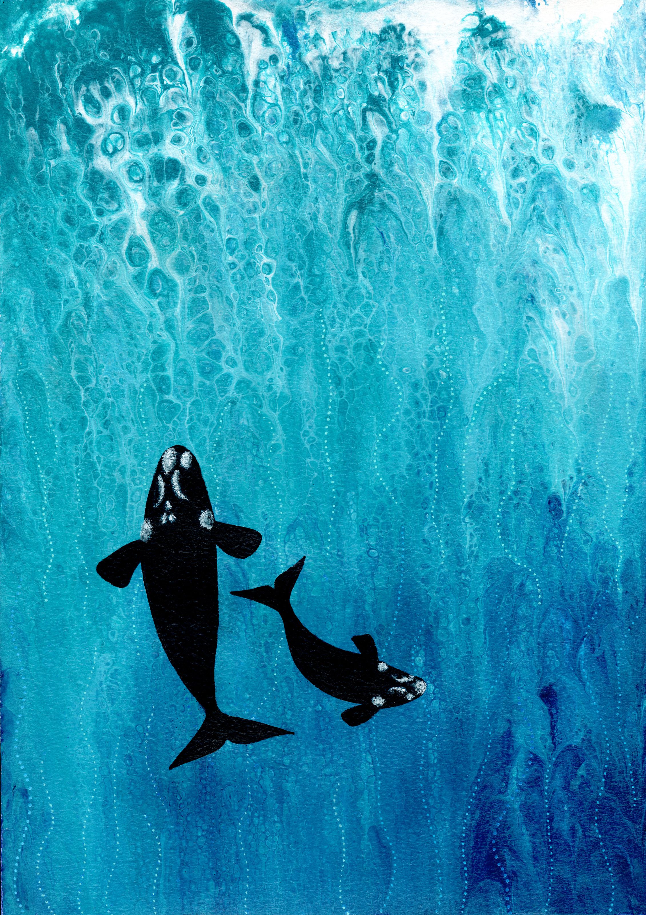 2261x3200 Southern Right Whales Wall Mural