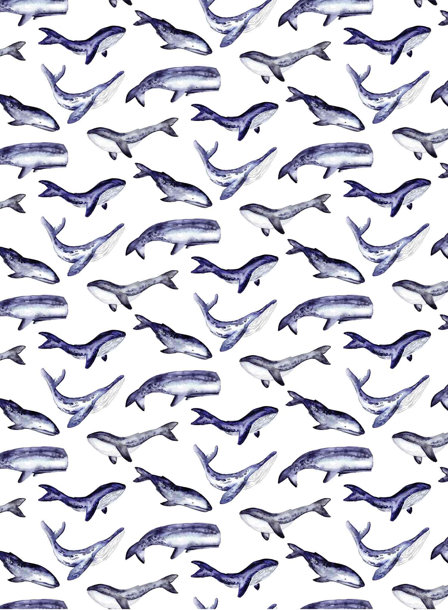 1503x2048 Whale Tale. Various Whales Wallpaper