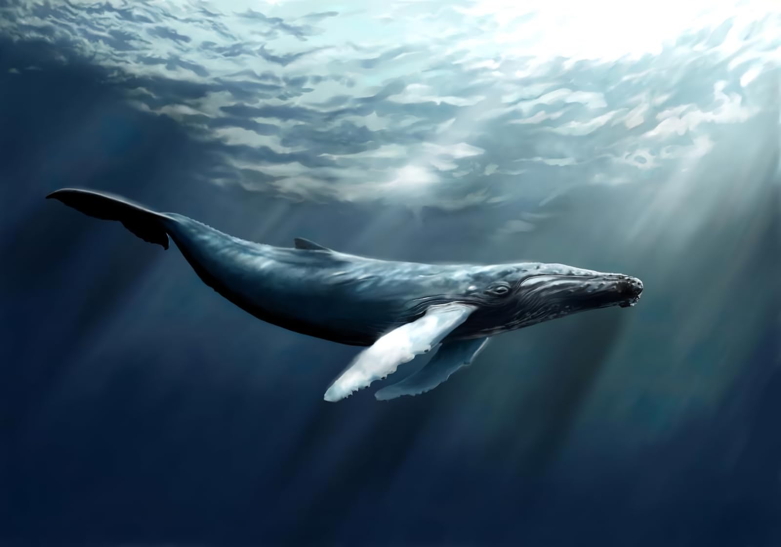 1600x1120 3D Photo Wallpaper Non Woven Murals Murals Sea Whale Nature Landscape Giant Poster 250 X 175 Cm : Amazon.com.be: Tools & Home Improvement