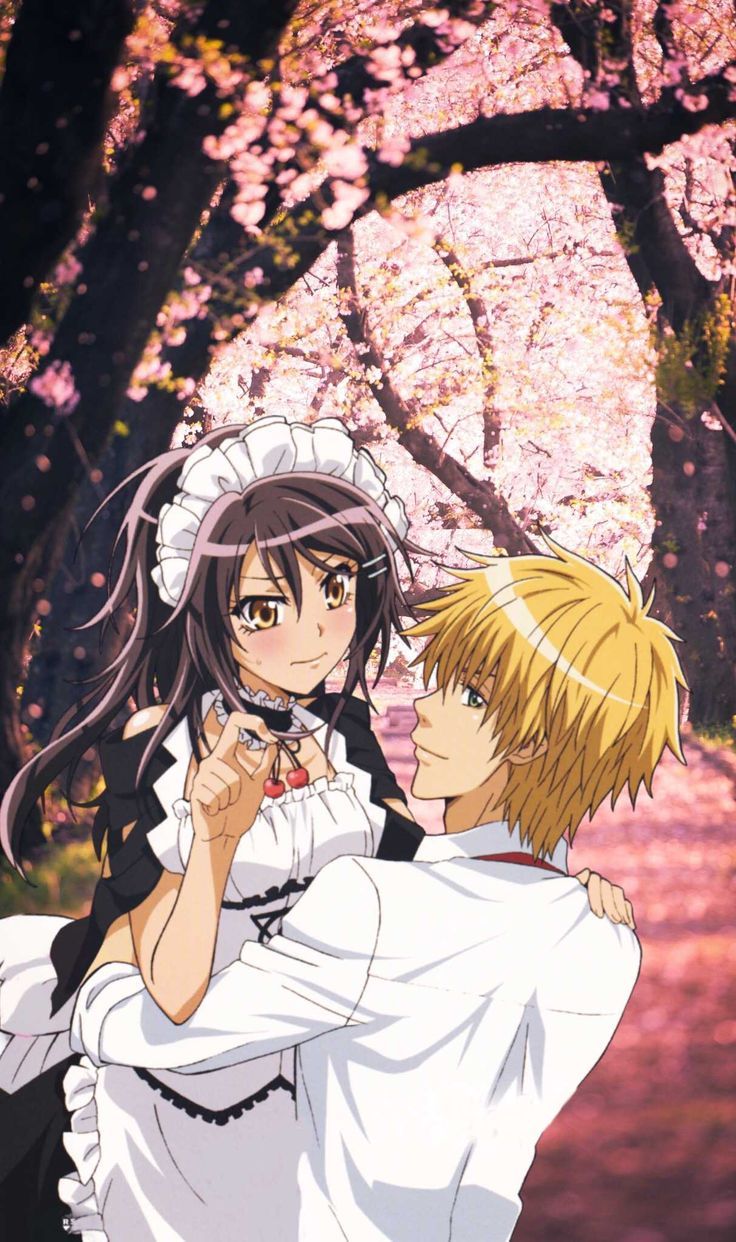 736x1242 Maid Sama Wallpaper Free HD Wallpaper