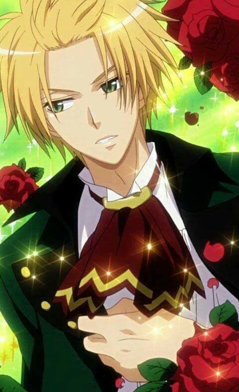 800x1313 Usui Takumi, anime, boy, kaichou wa maid sama, love, manga, romance, school, HD phone wallpaper