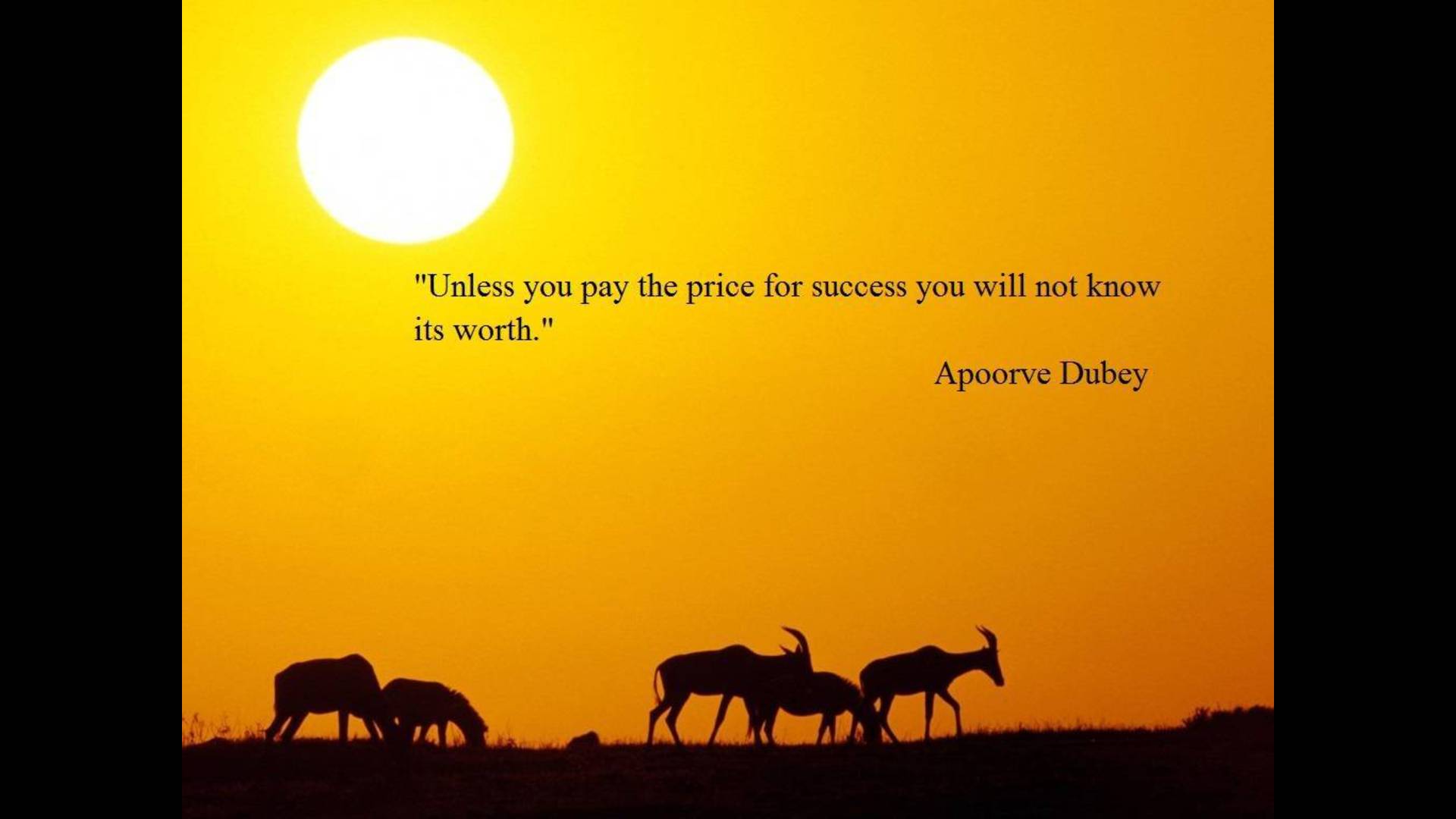 1920x1080 Quotes about Success wallpaper (26 quotes)