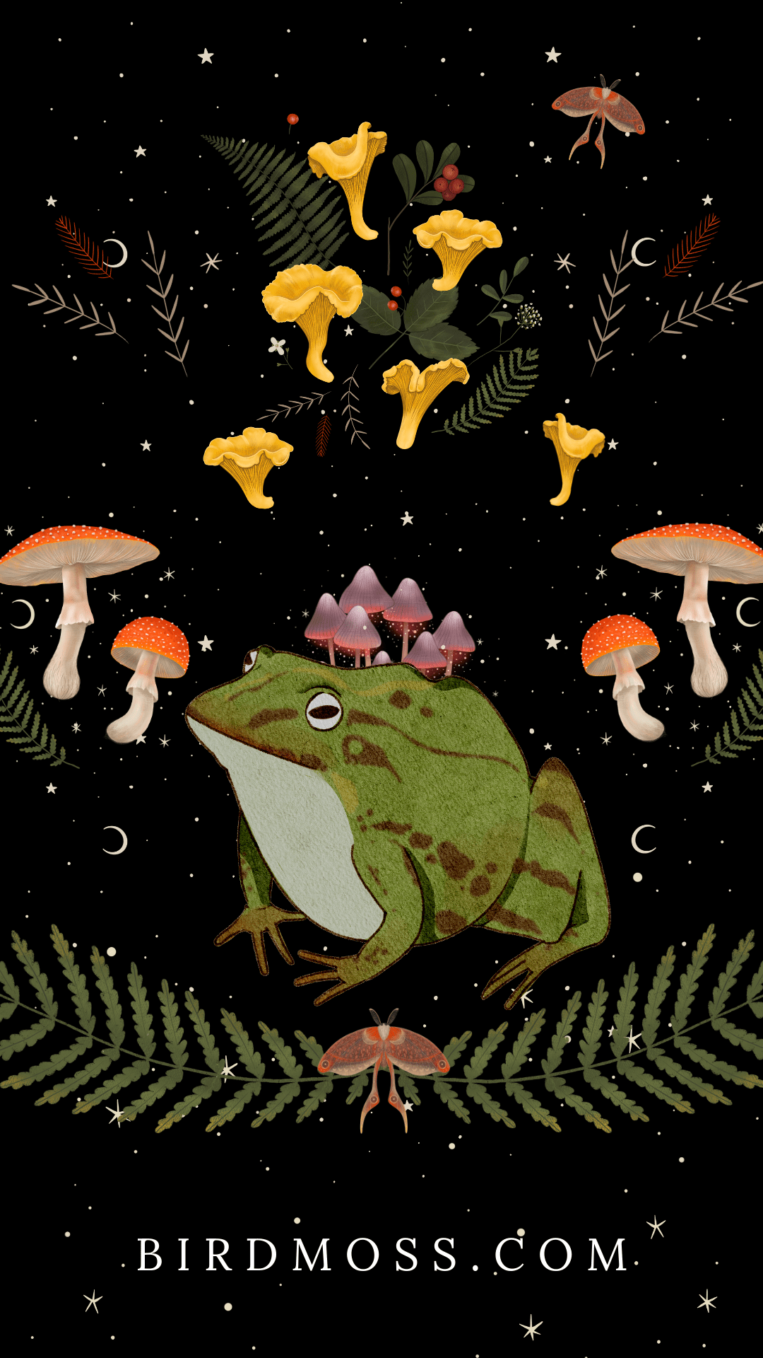 1080x1920 Phone Wallpaper Frogs