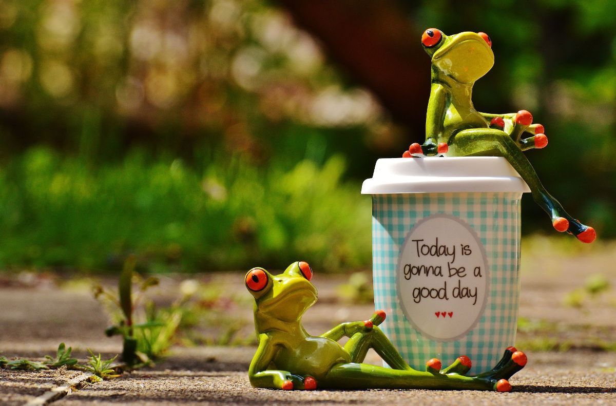 1200x791 From Frog Story in Wallpaper Wizard