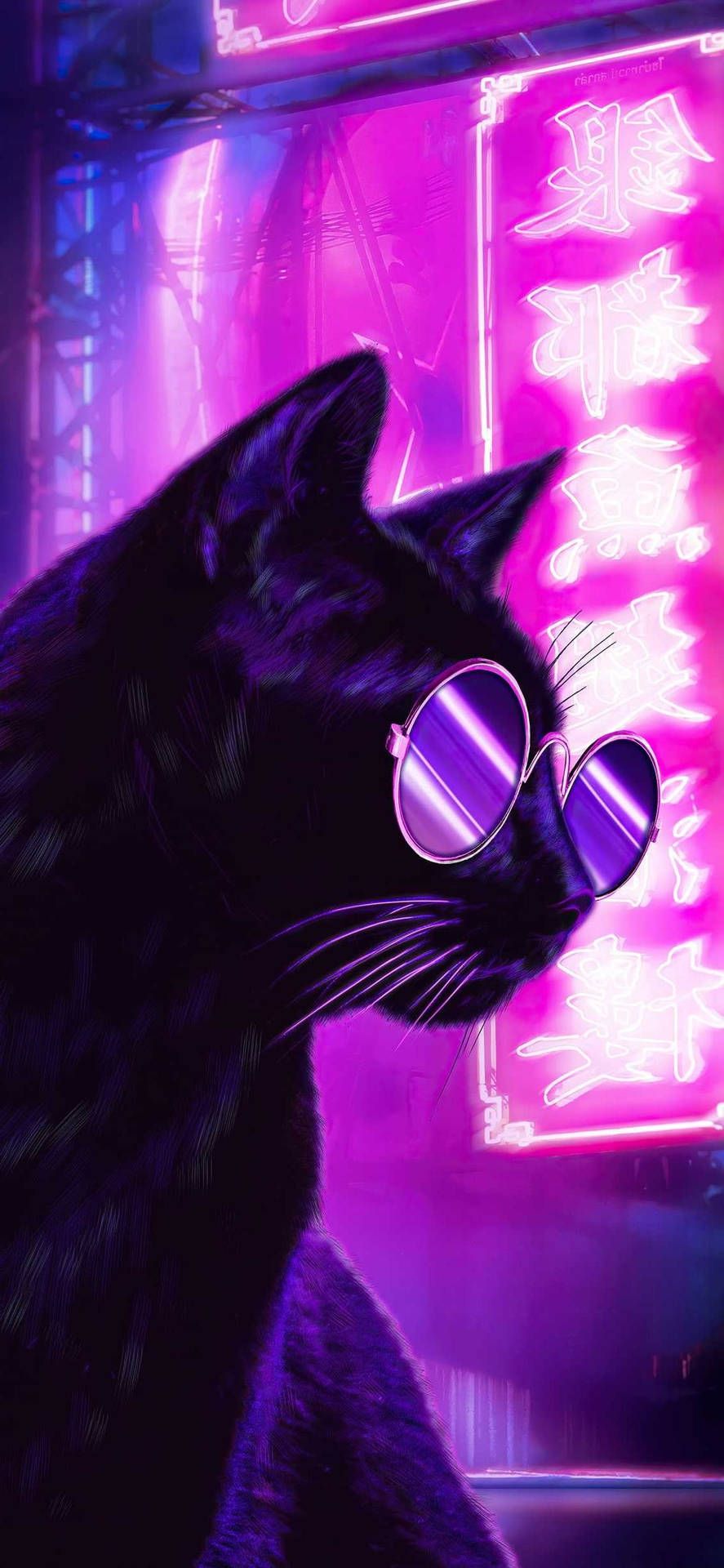 887x1920 Neon Purple iPhone Wallpaper