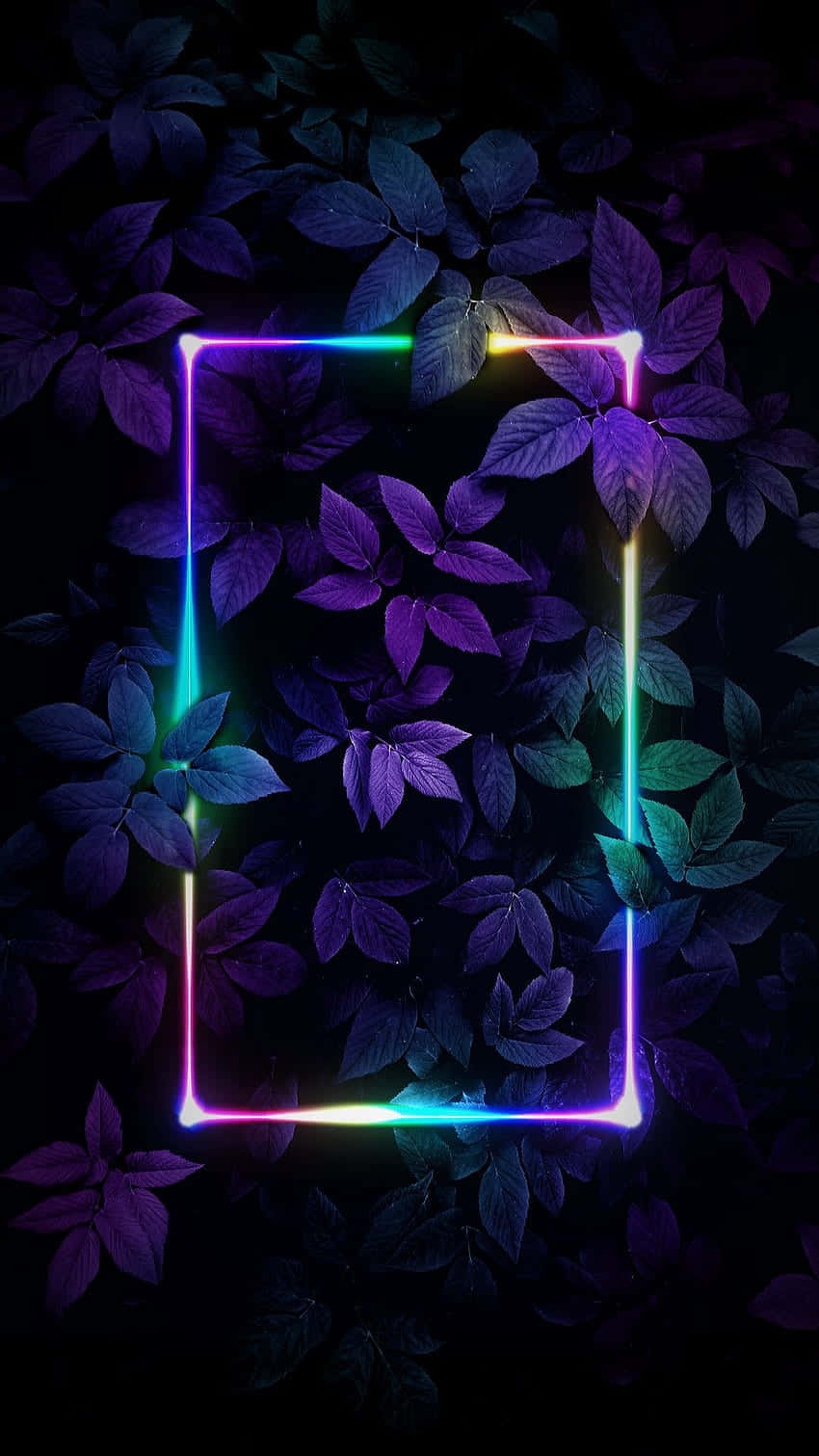 850x1511 Download Neon Frame Leaves Dark Purple Wallpaper