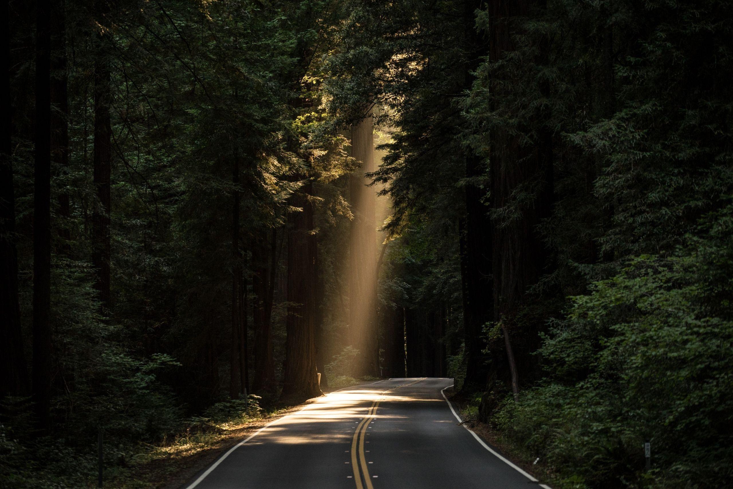 2560x1707 How Successful People Make the Most of Their travel tips