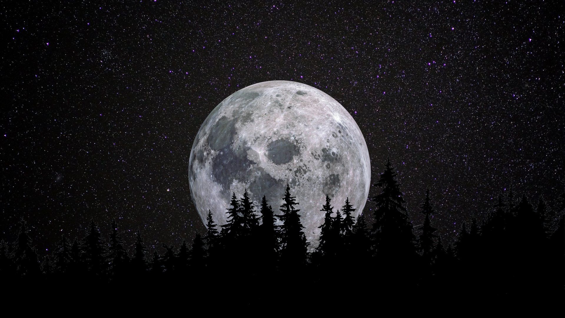 1920x1080 8K Ultra HD Black Moon Over Silent Forestx4320