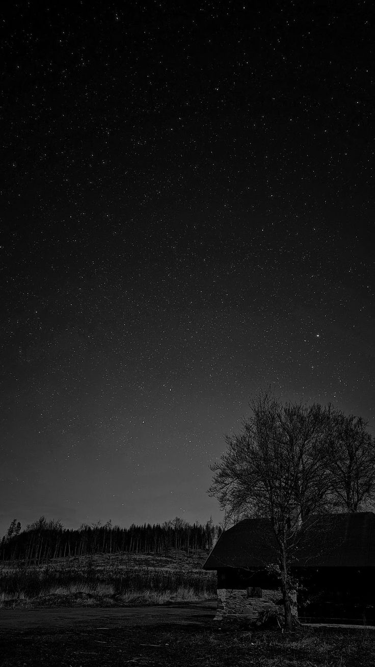 736x1308 OnePlus 9 Pro Wallpaper